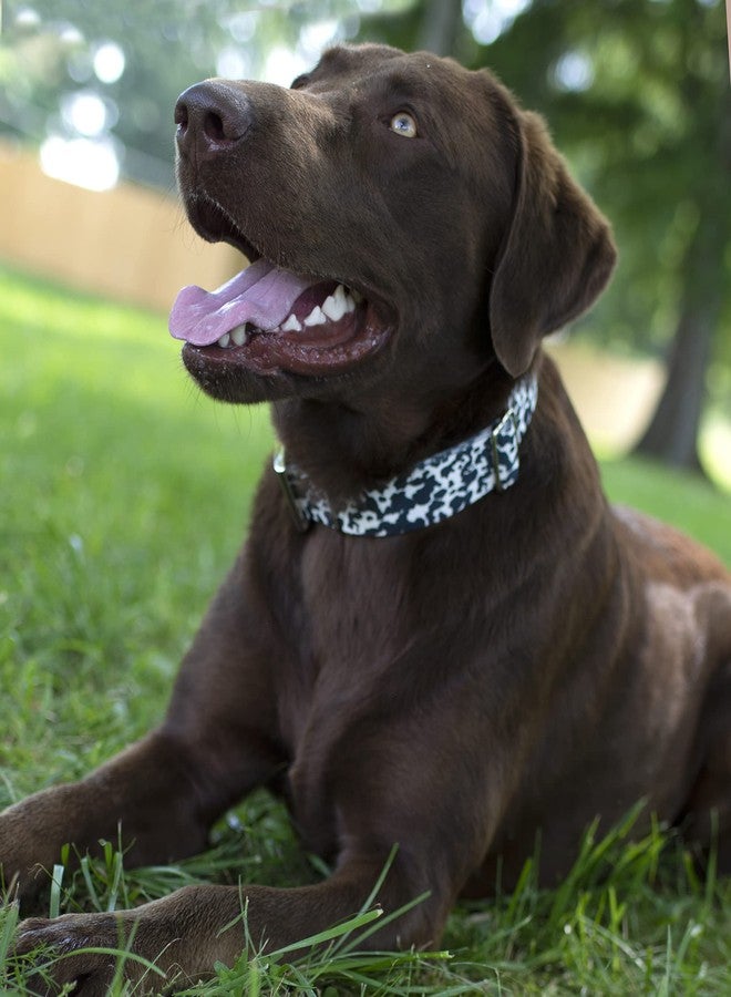 كانتري بروك ديزاين طوق ومقود للكلاب من Country Brook Petz - بتصميم بقرة حلوب - مجموعة طبعات حيوانية تتميز بتصاميم برية (1 بوصة، كبير) - Image 3